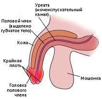 лечение содой от паразитов лечение содой от паразитов