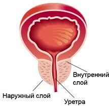 Порно массаж простаты делает жена когда