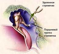 110 детская поликлиника официальный сайт
