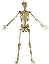 onkoortopediya2.jpg